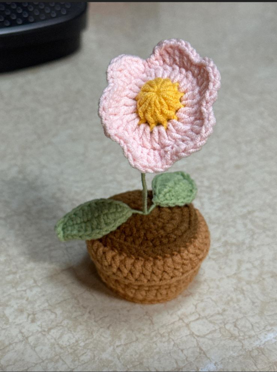 Crochet flower Bloom Pot