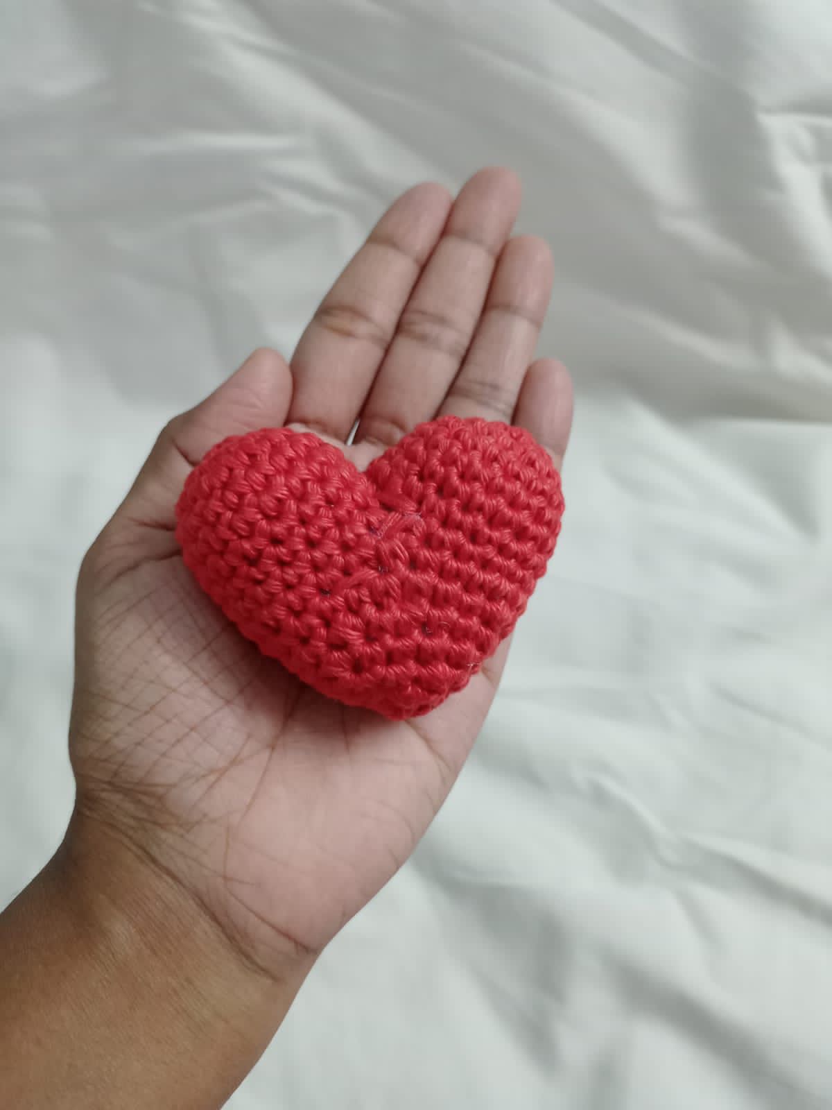 Cozy Charm Crochet Keyrings (Combo of 5)