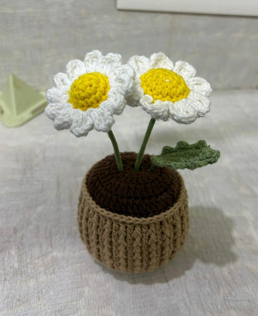 Bloom & Crochet Stitch Pot