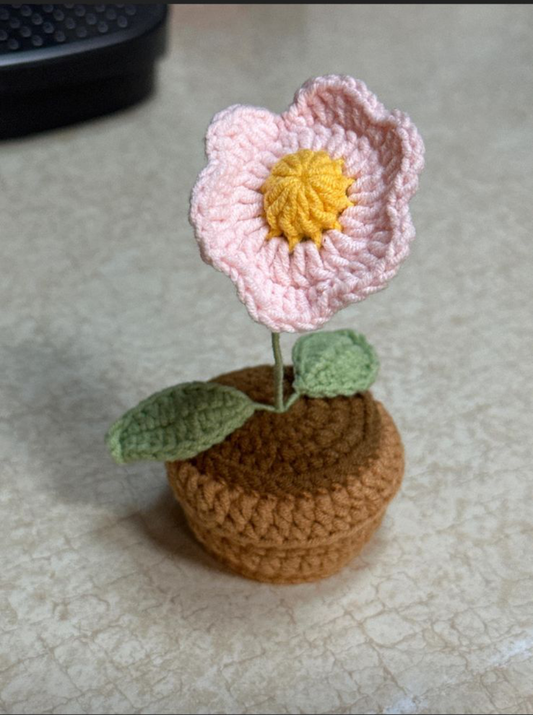 Crochet flower Bloom Pot