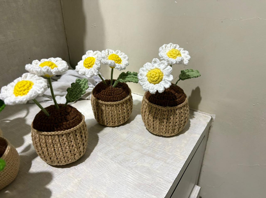 Crochet Daisy Garden
